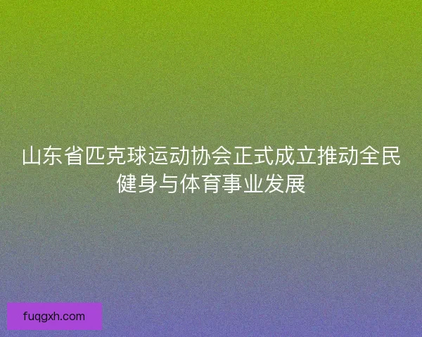 山东省匹克球运动协会正式成立推动全民健身与体育事业发展