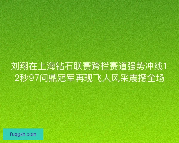 刘翔在上海钻石联赛跨栏赛道强势冲线12秒97问鼎冠军再现飞人风采震撼全场
